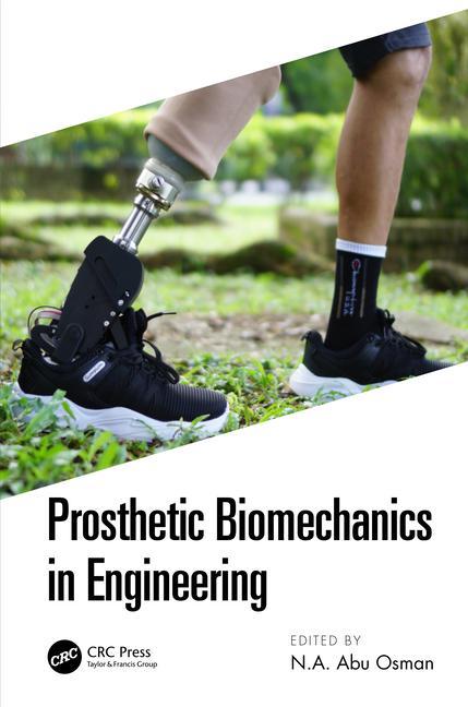 Kniha Prosthetic Biomechanics in Engineering 