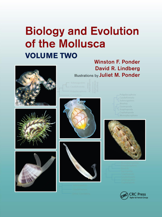 Book Biology and Evolution of the Mollusca, Volume 2 Winston Frank Ponder