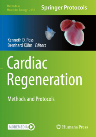Könyv Cardiac Regeneration Kenneth D. Poss