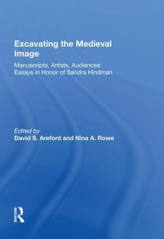Knjiga Excavating the Medieval Image David S. Areford