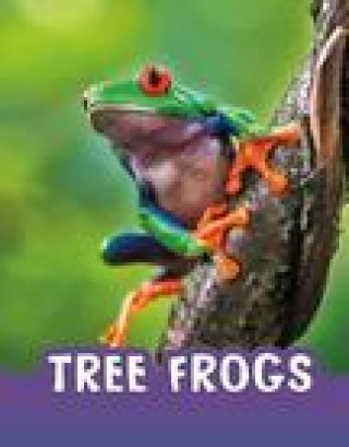 Książka Tree Frogs Jaclyn Jaycox