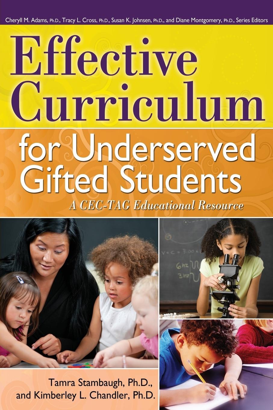 Knjiga Effective Curriculum for Underserved Gifted Students Tamra Stambaugh