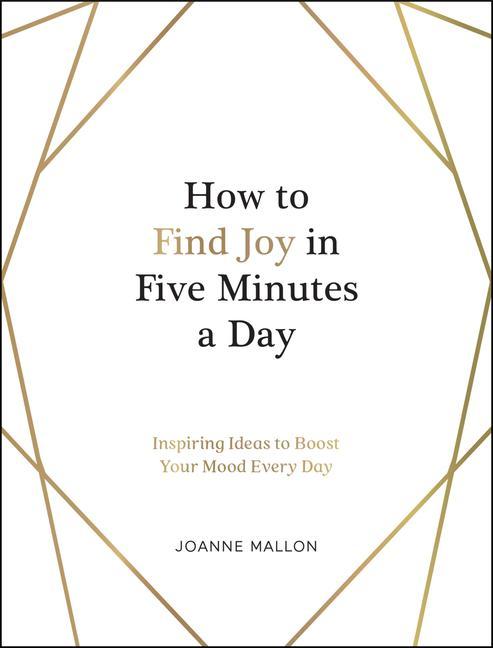 Kniha How to Find Joy in Five Minutes a Day JOANNE MALLON