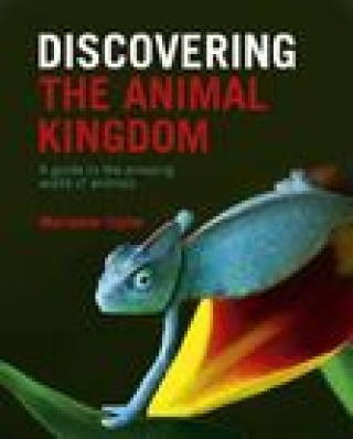 Livre Discovering The Animal Kingdom Marianne Taylor