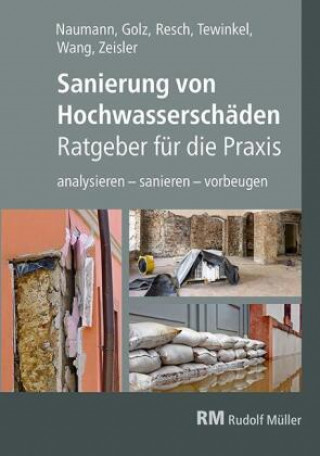 Kniha Sanierung von Hochwasserschäden - Ratgeber für die Praxis Thomas Naumann