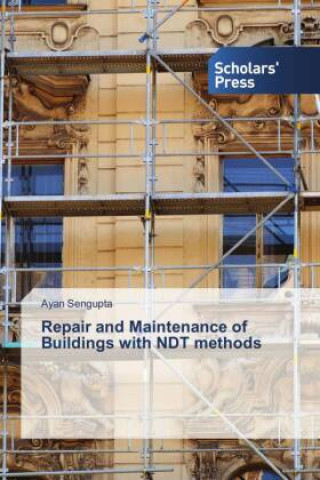 Könyv Repair and Maintenance of Buildings with NDT methods 
