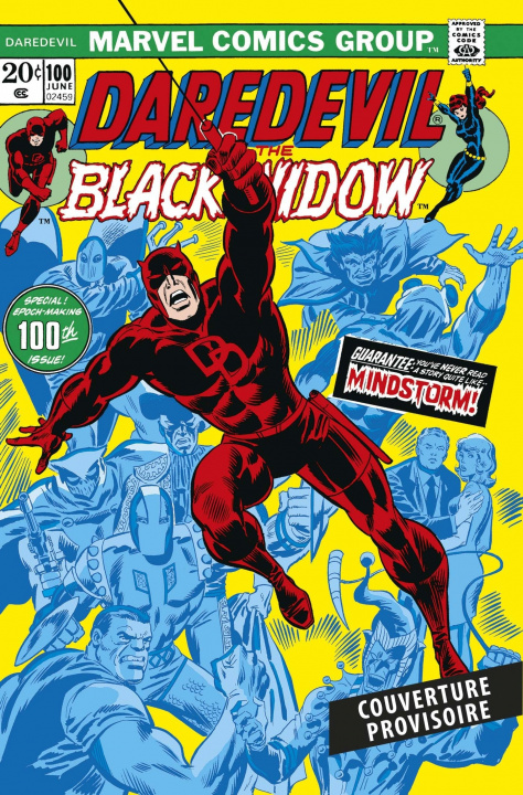 Kniha Daredevil : L'intégrale 1973-1974 (T09) 