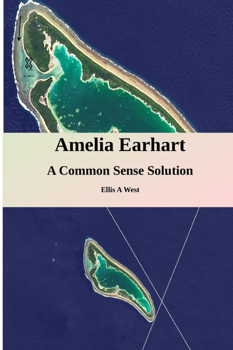 Knjiga Amelia Earhart Missing West Jr. Ellis Albert West Jr.