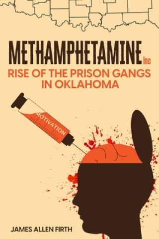 Książka Methamphetamine Inc James Allen Firth