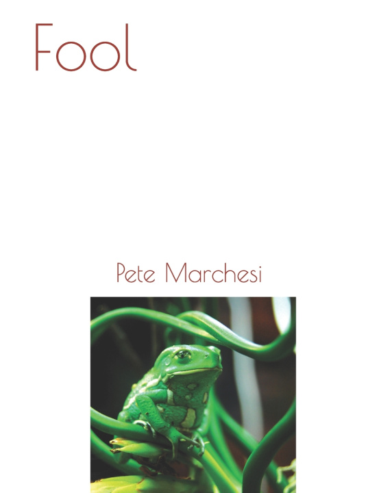 Boek Fool Pete Marchesi