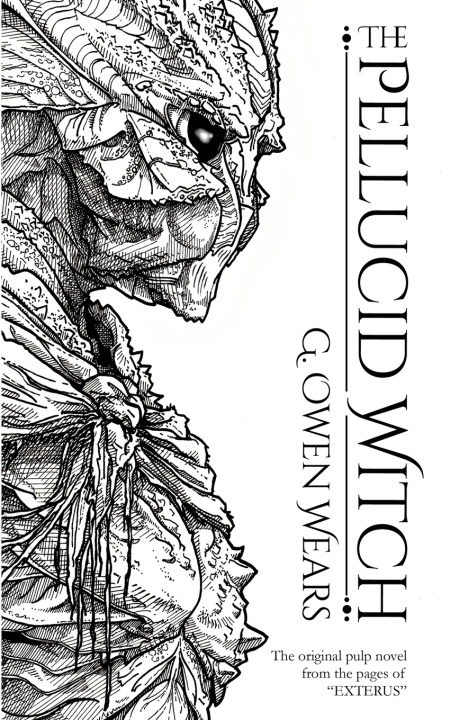 Knjiga Pellucid Witch Wears G. Owen Wears