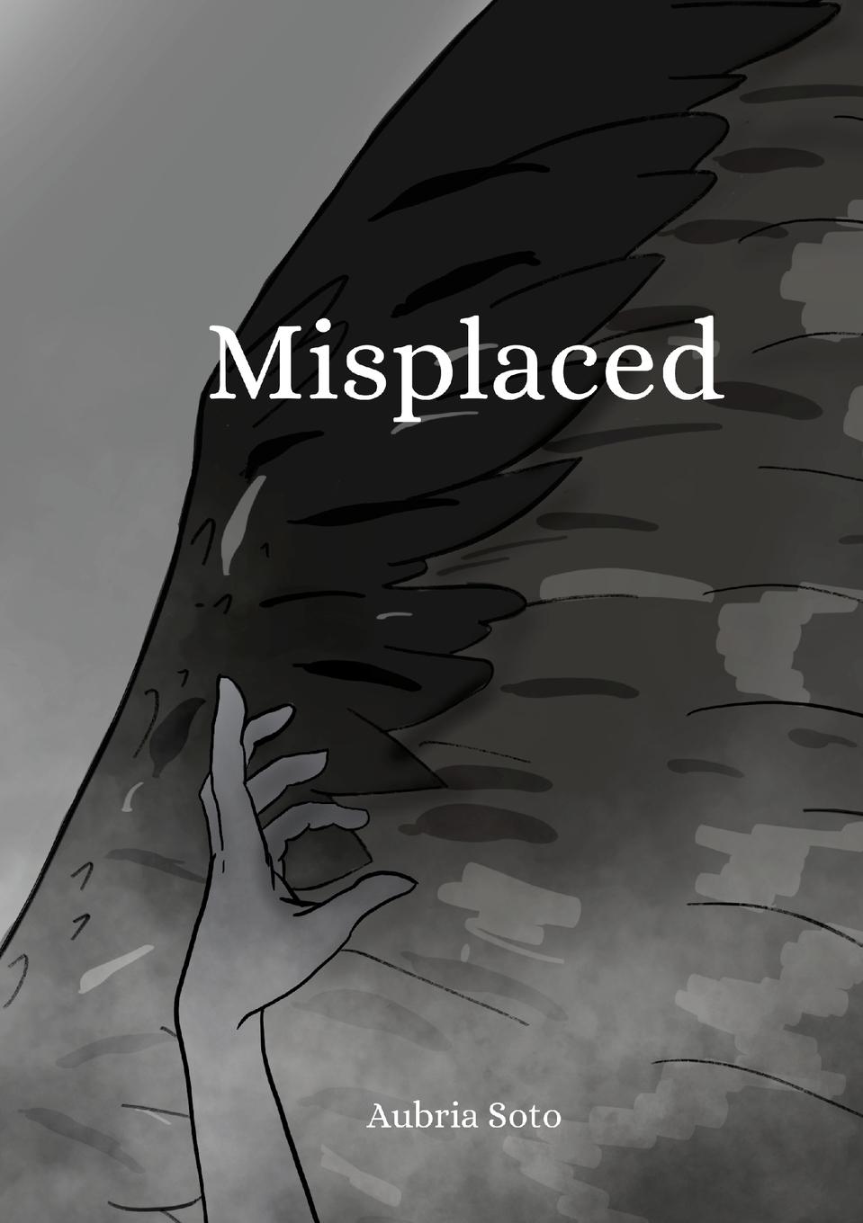 Knjiga Misplaced R Rose Scanlon