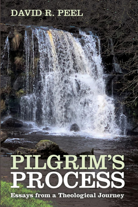 Knjiga Pilgrim's Process David R. Peel