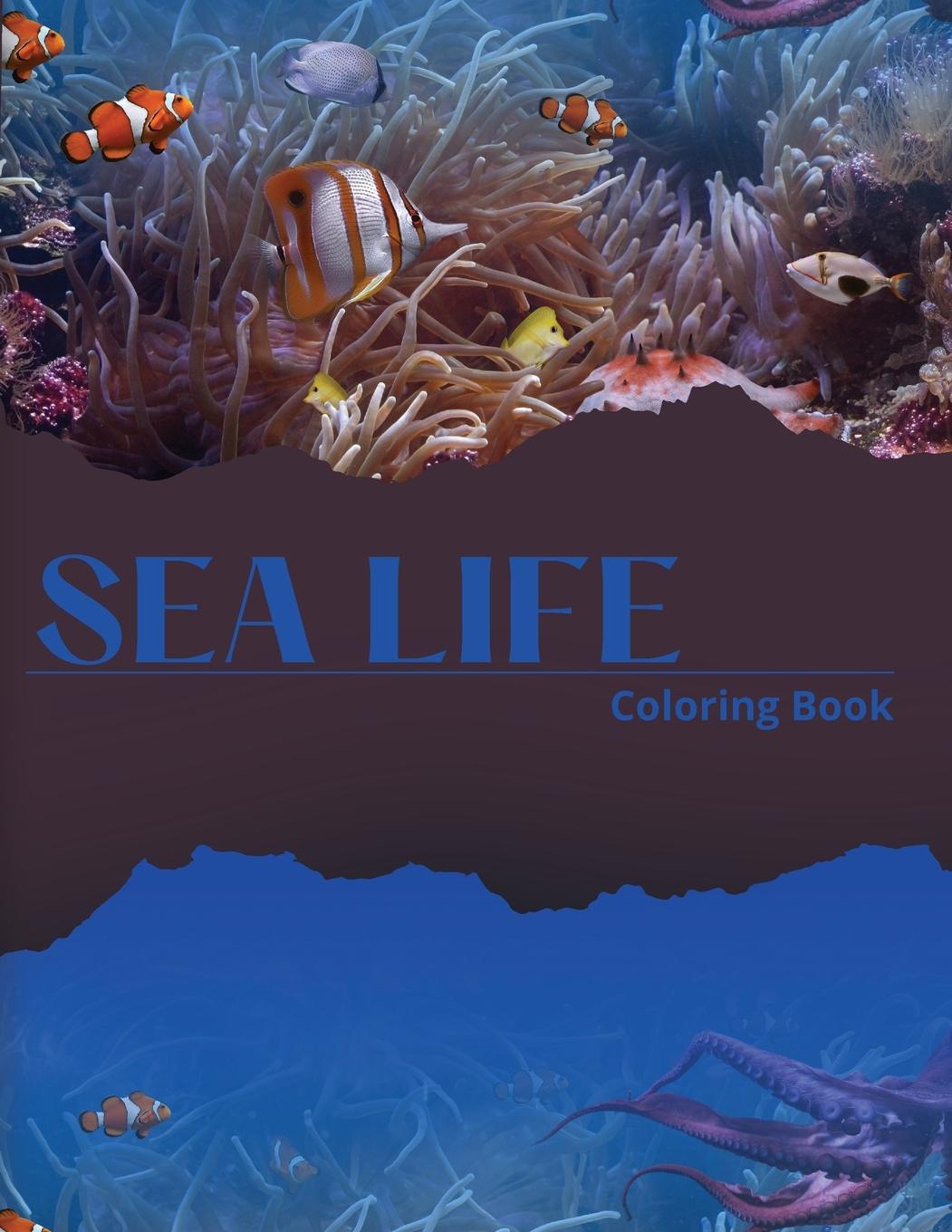 Książka Sea Life Coloring Book 