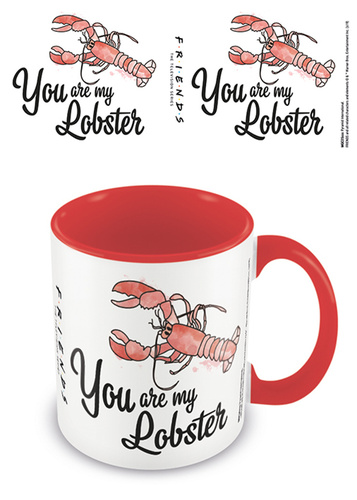 Book Hrnek Přátelé You are my lobster 