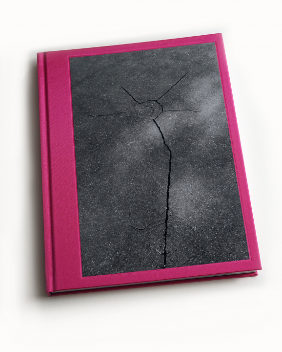 Knjiga ABSTRACT Olivier Degen