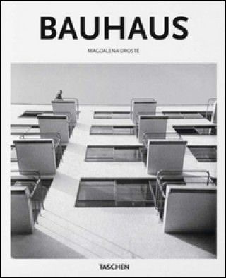 Book Bauhaus. Ediz. italiana Magdalena Droste