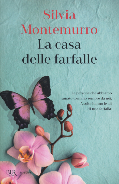 Книга casa delle farfalle Silvia Montemurro