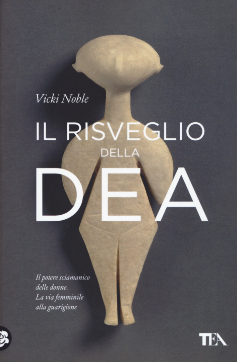Boek risveglio della dea Vicki Noble