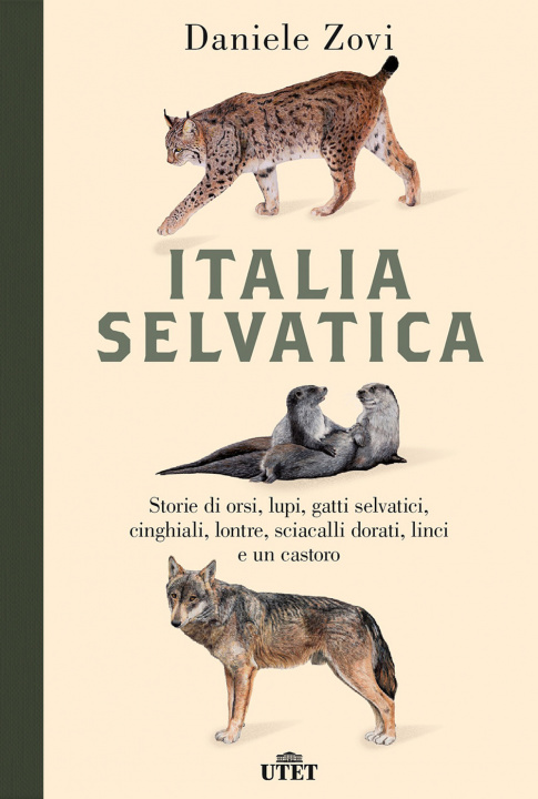 Könyv Italia selvatica. Storie di orsi, lupi, gatti selvatici, cinghiali, lontre, sciacalli dorati, linci e un castoro Daniele Zovi