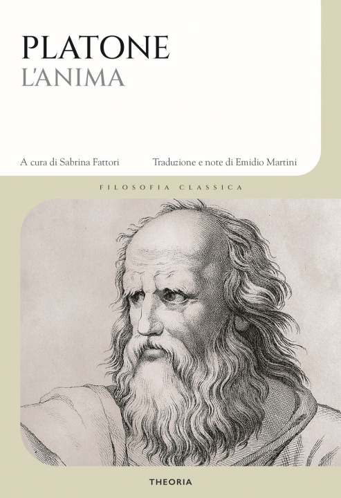 Buch anima Platone