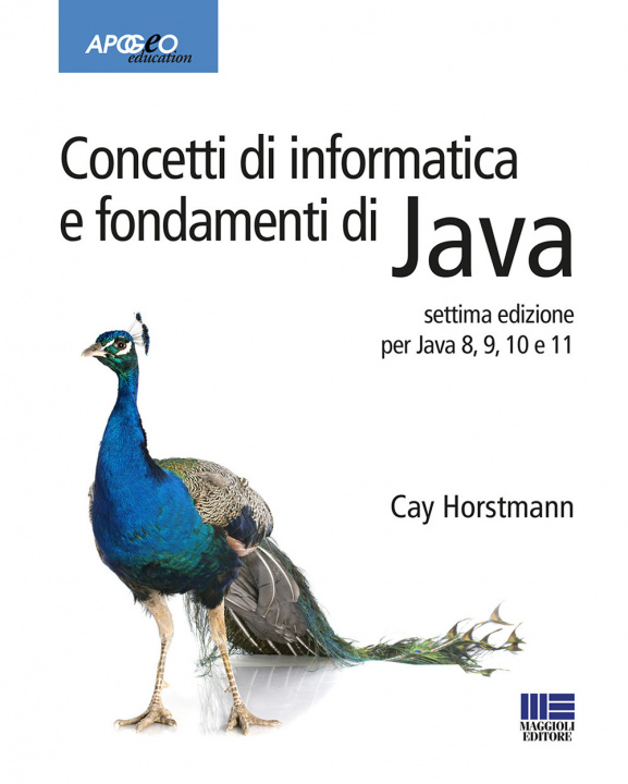 Knjiga Concetti di informatica e fondamenti di Java Cay S. Horstmann