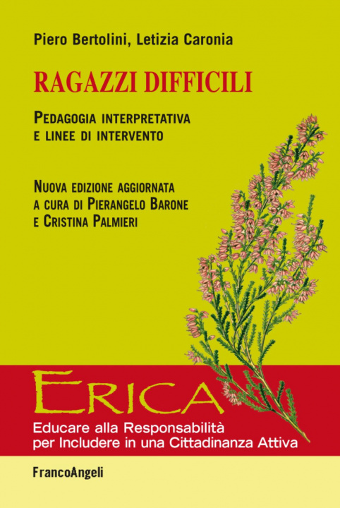 Buch Ragazzi difficili. Pedagogia interpretativa e linee d'intervento Piero Bertolini