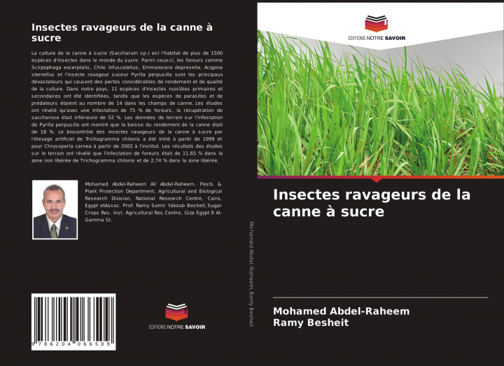 Carte Insectes ravageurs de la canne a sucre Ramy Besheit
