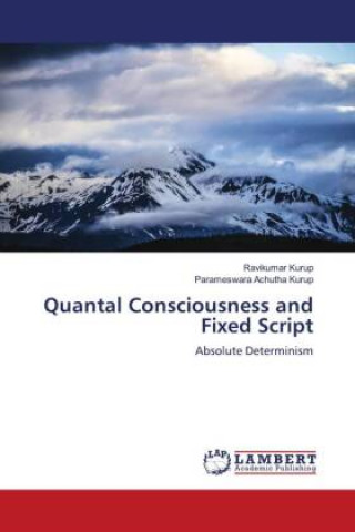 Knjiga Quantal Consciousness and Fixed Script Parameswara Achutha Kurup