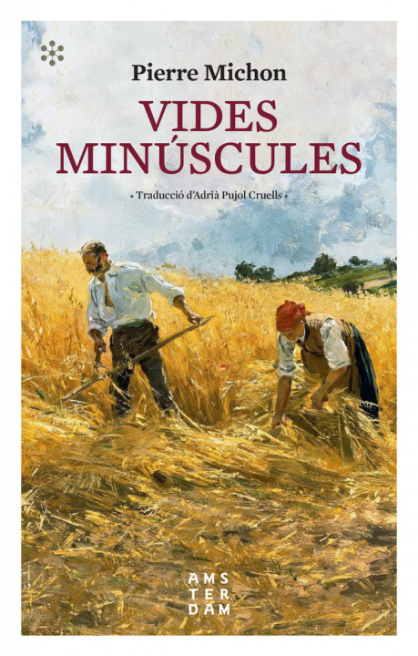 Book VIDES MINUSCULES MICHON