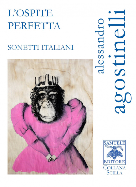 Книга ospite perfetta. Sonetti italiani Alessandro Agostinelli