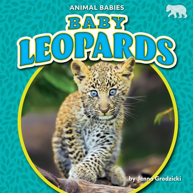 Книга Baby Leopards 