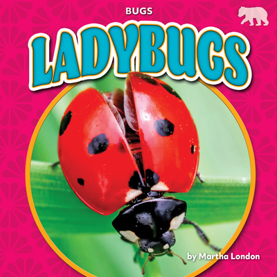 Carte Ladybugs 