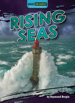 Libro Rising Seas Raymond Bergin