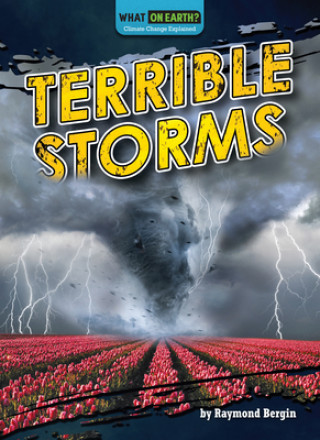 Knjiga Terrible Storms Raymond Bergin