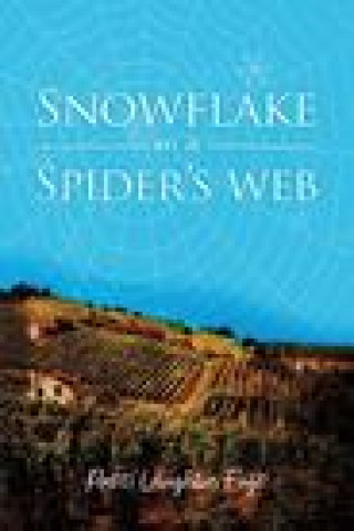 Knjiga Snowflake on a Spider's Web Patti Laughlin Fogt