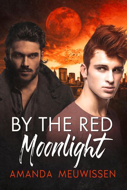Buch By the Red Moonlight: Volume 1 Amanda Meuwissen