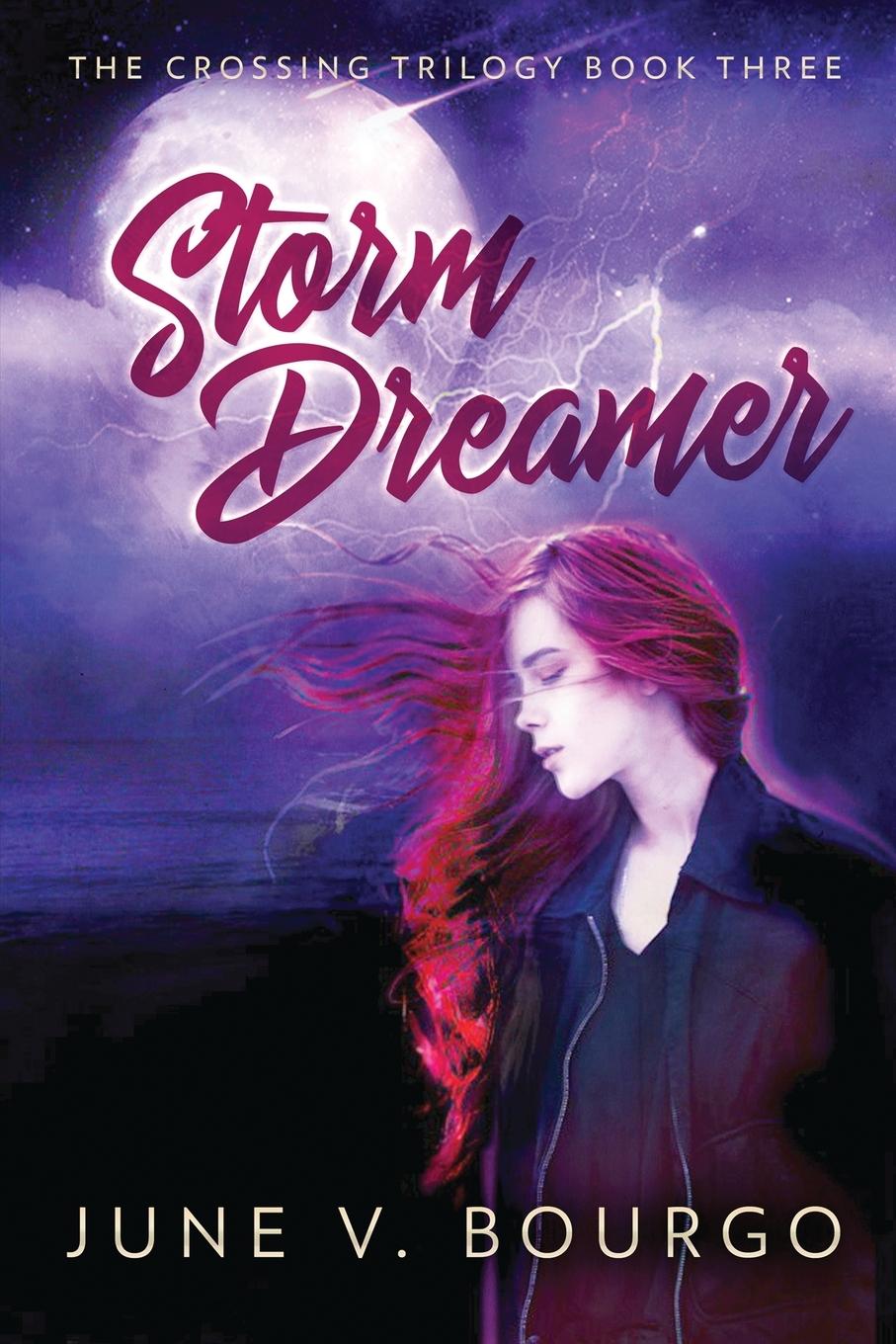Knjiga Storm Dreamer June V. Bourgo