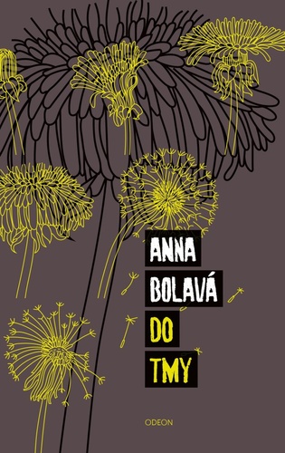 Kniha Do tmy Anna Bolavá