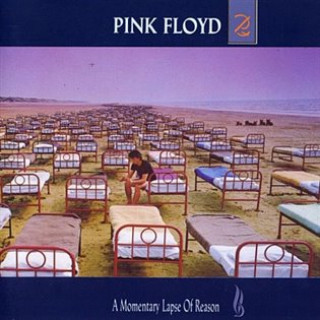 Аудио A Momentary Lapse Of Reason Pink Floyd