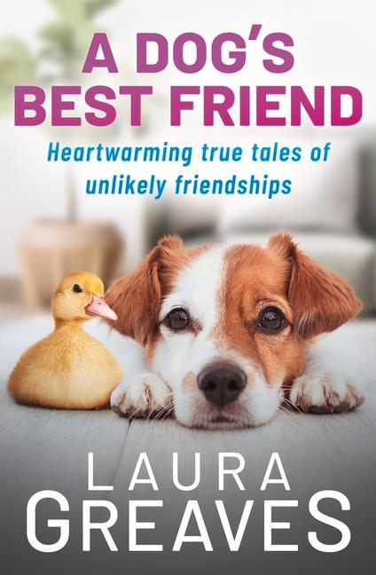 Kniha Dog's Best Friend Laura Greaves