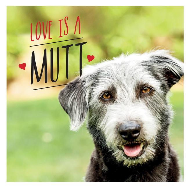 Livre Love is a Mutt Charlie Ellis