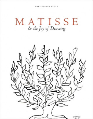 Carte Matisse and the Joy of Drawing 