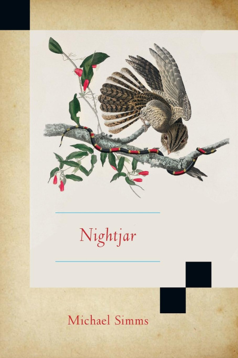 Knjiga Nightjar Simms Michael Simms