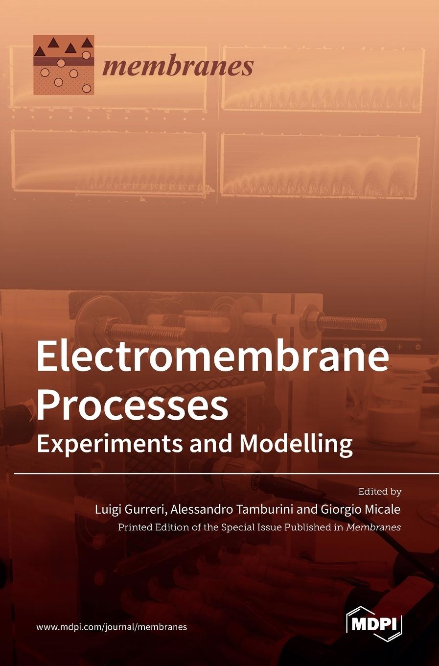 Könyv Electromembrane Processes Luigi Gurreri