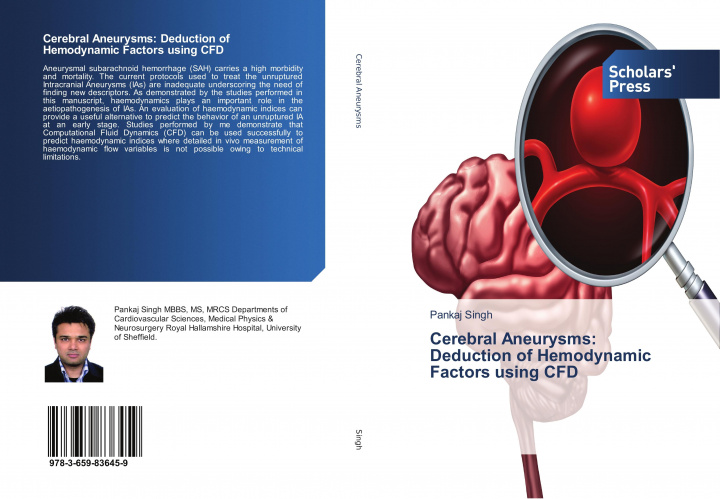 Carte Cerebral Aneurysms: Deduction of Hemodynamic Factors using CFD 