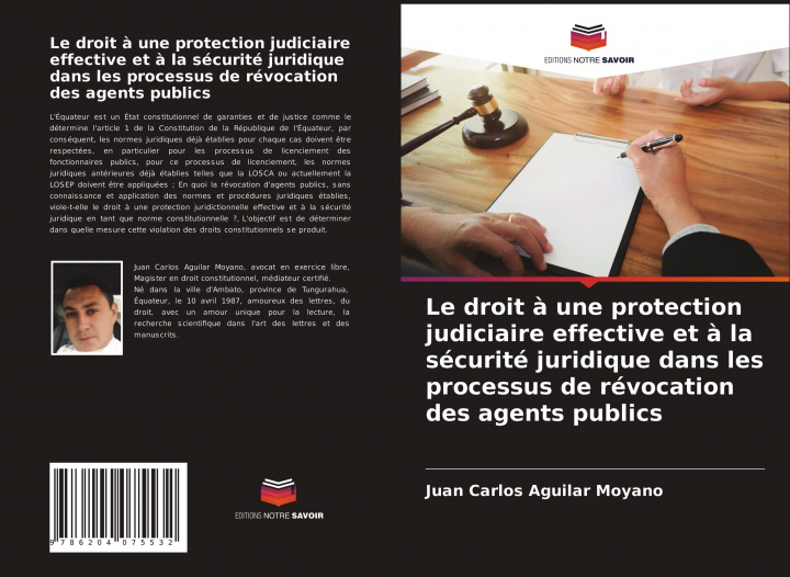 Kniha droit a une protection judiciaire effective et a la securite juridique dans les processus de revocation des agents publics 