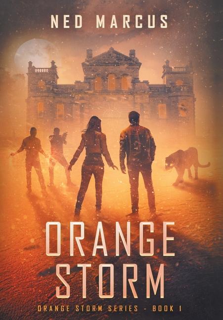 Buch Orange Storm Ned Marcus
