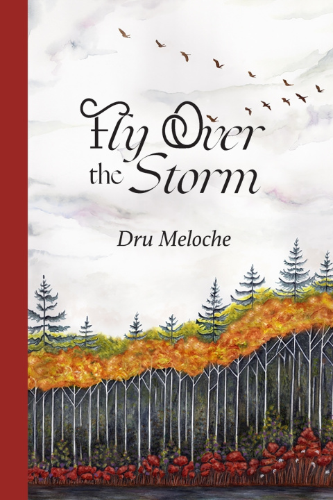 Knjiga Fly Over the Storm Meloche Dru Meloche