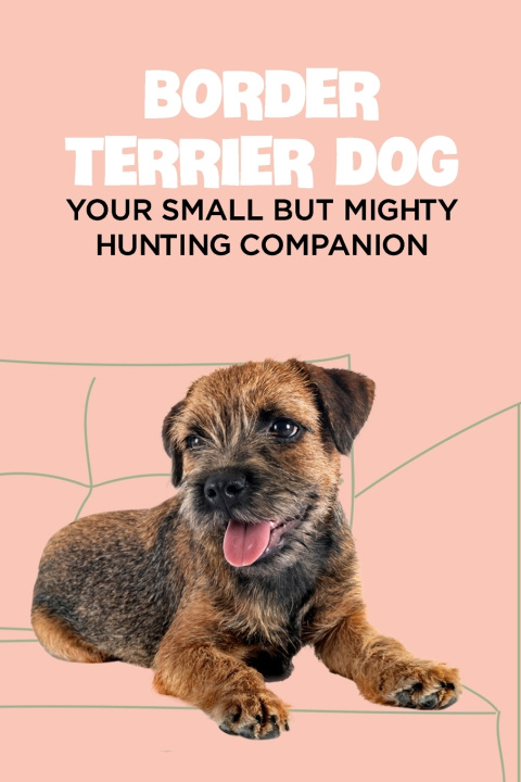 Livro Border Terrier Dog GLORIA ANTILLON GLORIA
